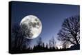 Stretched Canvas Print