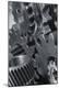Photographic Print