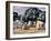 Laggan Farm Buildings Near Dalbeattie-Samuel John Peploe-Framed Giclee Print