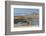 Lago Argentino, El Calafate, Patagonia, Argentina, South America-Mark Chivers-Framed Photographic Print