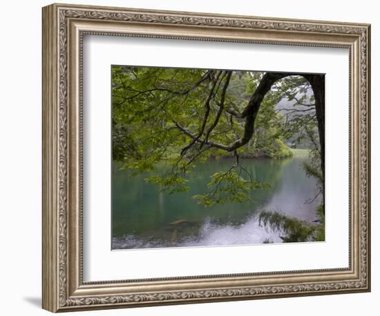 Lago Chico, Huerquehue National Park, Chile-Scott T. Smith-Framed Photographic Print