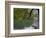 Lago Chico, Huerquehue National Park, Chile-Scott T. Smith-Framed Photographic Print