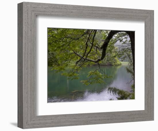 Lago Chico, Huerquehue National Park, Chile-Scott T. Smith-Framed Photographic Print