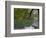 Lago Chico, Huerquehue National Park, Chile-Scott T. Smith-Framed Photographic Print