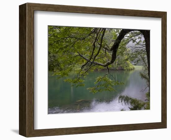 Lago Chico, Huerquehue National Park, Chile-Scott T. Smith-Framed Photographic Print