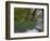 Lago Chico, Huerquehue National Park, Chile-Scott T. Smith-Framed Photographic Print