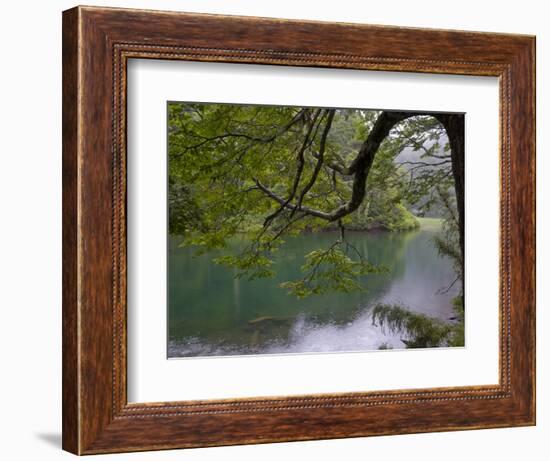 Lago Chico, Huerquehue National Park, Chile-Scott T. Smith-Framed Photographic Print