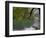 Lago Chico, Huerquehue National Park, Chile-Scott T. Smith-Framed Photographic Print