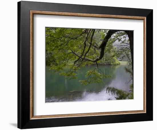 Lago Chico, Huerquehue National Park, Chile-Scott T. Smith-Framed Photographic Print