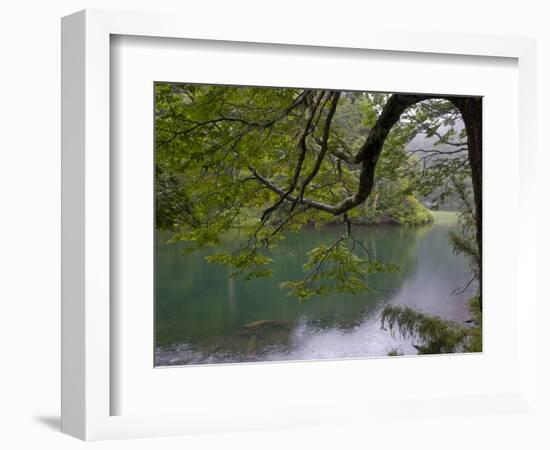 Lago Chico, Huerquehue National Park, Chile-Scott T. Smith-Framed Photographic Print