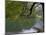 Lago Chico, Huerquehue National Park, Chile-Scott T. Smith-Mounted Photographic Print