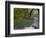 Lago Chico, Huerquehue National Park, Chile-Scott T. Smith-Framed Photographic Print