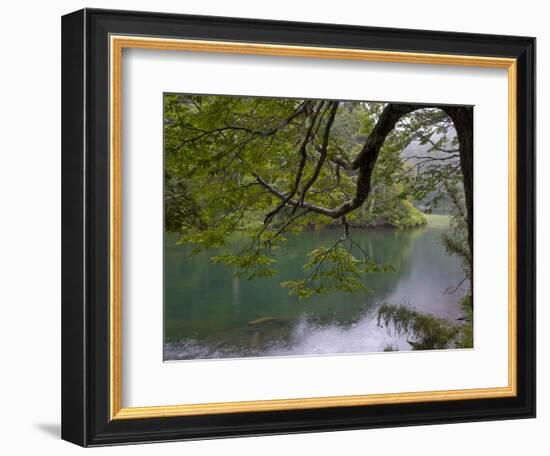 Lago Chico, Huerquehue National Park, Chile-Scott T. Smith-Framed Photographic Print