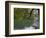 Lago Chico, Huerquehue National Park, Chile-Scott T. Smith-Framed Photographic Print