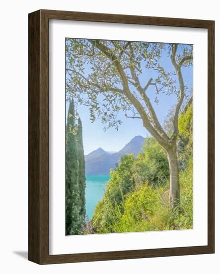 Lago di Como View No. 2-Brooke T. Ryan-Framed Photographic Print