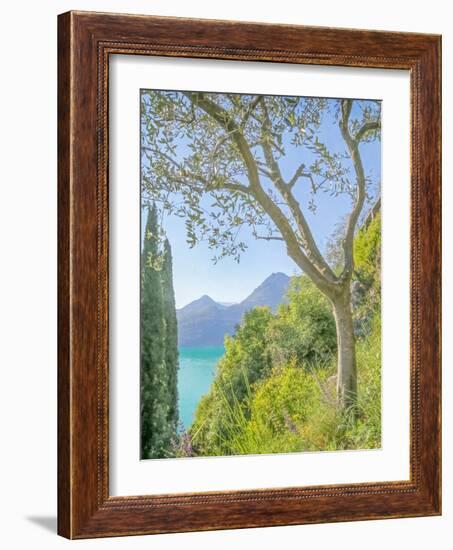 Lago di Como View No. 2-Brooke T. Ryan-Framed Photographic Print