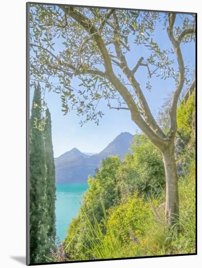 Lago di Como View No. 2-Brooke T. Ryan-Mounted Photographic Print