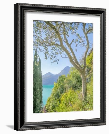 Lago di Como View No. 2-Brooke T. Ryan-Framed Photographic Print