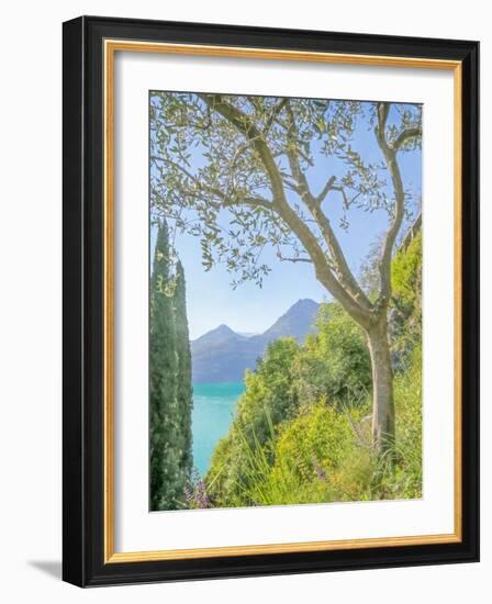 Lago di Como View No. 2-Brooke T. Ryan-Framed Photographic Print