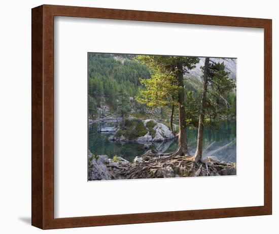 Lago di Saoseo, Grisons, Switzerland-Michael Jaeschke-Framed Photographic Print