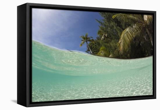 Lagoon and Palm-Lined Beach, Micronesia, Palau-Reinhard Dirscherl-Framed Premier Image Canvas