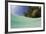 Lagoon and Palm-Lined Beach, Micronesia, Palau-Reinhard Dirscherl-Framed Photographic Print