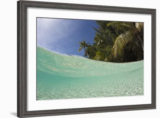 Lagoon and Palm-Lined Beach, Micronesia, Palau-Reinhard Dirscherl-Framed Photographic Print