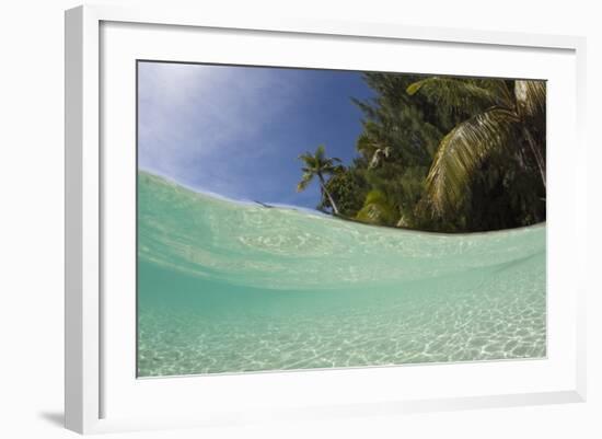 Lagoon and Palm-Lined Beach, Micronesia, Palau-Reinhard Dirscherl-Framed Photographic Print