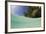 Lagoon and Palm-Lined Beach, Micronesia, Palau-Reinhard Dirscherl-Framed Photographic Print