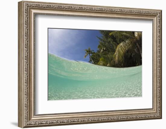 Lagoon and Palm-Lined Beach, Micronesia, Palau-Reinhard Dirscherl-Framed Photographic Print