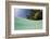 Lagoon and Palm-Lined Beach, Micronesia, Palau-Reinhard Dirscherl-Framed Photographic Print