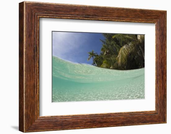 Lagoon and Palm-Lined Beach, Micronesia, Palau-Reinhard Dirscherl-Framed Photographic Print