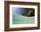 Lagoon and Palm-Lined Beach, Micronesia, Palau-Reinhard Dirscherl-Framed Photographic Print