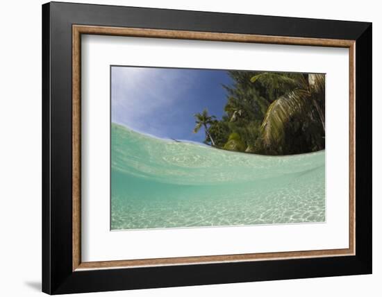 Lagoon and Palm-Lined Beach, Micronesia, Palau-Reinhard Dirscherl-Framed Photographic Print