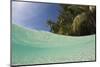 Lagoon and Palm-Lined Beach, Micronesia, Palau-Reinhard Dirscherl-Mounted Photographic Print