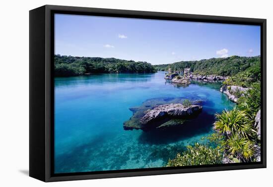 Lagoon at Xel Ha National Park in Mexico-Danny Lehman-Framed Premier Image Canvas