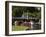 Lagoon Bridge and Swan Boat in the Public Garden, Boston, Massachusetts, United States of America-Amanda Hall-Framed Photographic Print