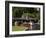 Lagoon Bridge and Swan Boat in the Public Garden, Boston, Massachusetts, United States of America-Amanda Hall-Framed Photographic Print