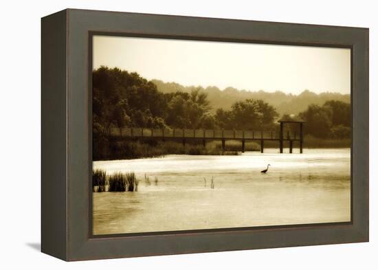 Lagoon I-Alan Hausenflock-Framed Premier Image Canvas