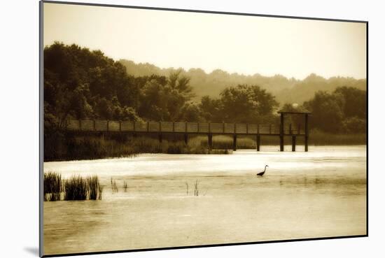 Lagoon I-Alan Hausenflock-Mounted Photographic Print