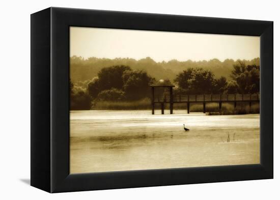 Lagoon II-Alan Hausenflock-Framed Premier Image Canvas