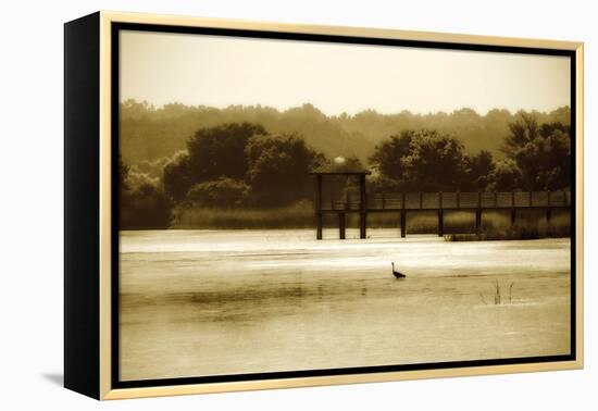 Lagoon II-Alan Hausenflock-Framed Premier Image Canvas