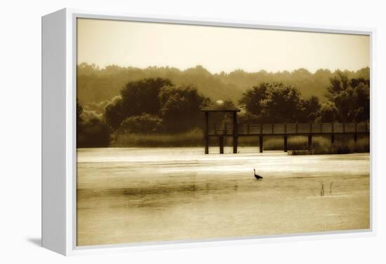 Lagoon II-Alan Hausenflock-Framed Premier Image Canvas