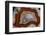 Laguna Agate, Mexico-Darrell Gulin-Framed Photographic Print