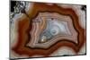 Laguna Agate, Mexico-Darrell Gulin-Mounted Photographic Print