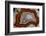 Laguna Agate, Mexico-Darrell Gulin-Framed Photographic Print