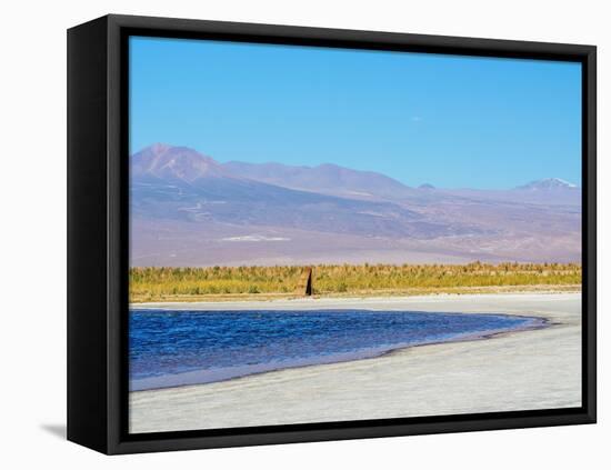 Laguna Baltinache, Salar de Atacama, Antofagasta Region, Chile, South America-Karol Kozlowski-Framed Premier Image Canvas