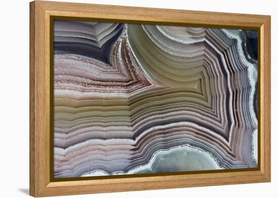 Laguna Banded Agate, Quartzsite, AZ-Darrell Gulin-Framed Premier Image Canvas