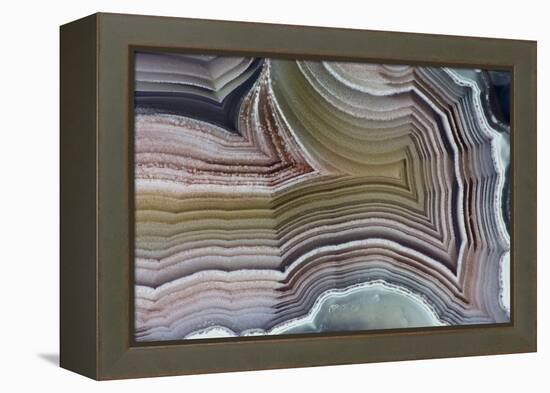 Laguna Banded Agate, Quartzsite, AZ-Darrell Gulin-Framed Premier Image Canvas