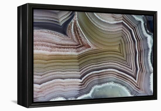 Laguna Banded Agate, Quartzsite, AZ-Darrell Gulin-Framed Premier Image Canvas